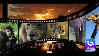 movie torrentz2 search engine #utorrent #movies_latetst