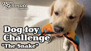 Yellow Lab Toy Review - Outward Hound Invincibles with Ron and Amy Schmidt