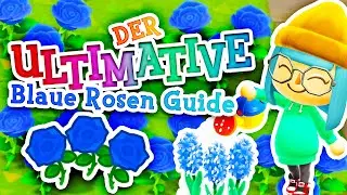 ULTIMATIVER BLAUE ROSEN GUIDE für Animal Crossing New Horizons!