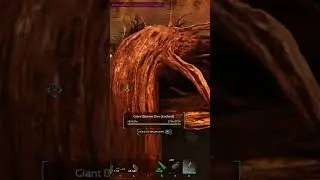 Да где же этот вход? #games #survival ⁠#ark #⁠arksurvivalascended #ragnarok #pve