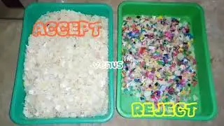 Venus RGB Color Sorting Machine