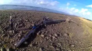 WANDERING{{REVO F4}}FPV