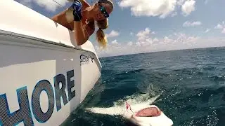 Girl catches Florida Dolphin, Sailfish and Big SHARK