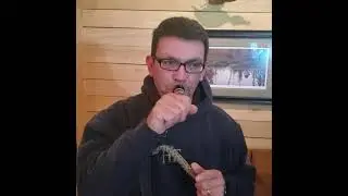 Specklebelly goose call instructional video