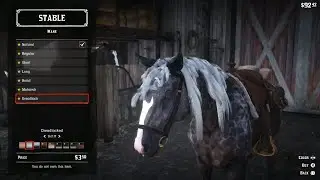Red Dead Redemption 2 - Horse Stable Shop & Horse Customization