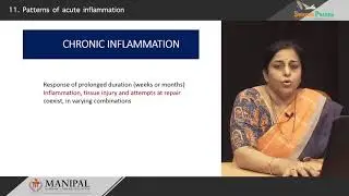 Patterns of acute inflammation