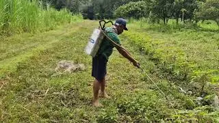 AMAZING FARMING TRICKS: INSTANT WEED ERADICATION WITH A CREATIVE SPRAY TANK TOOL-Agriculture Farming