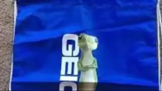 geico insurance phone number