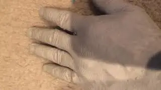 Ultracal 30 hand mold