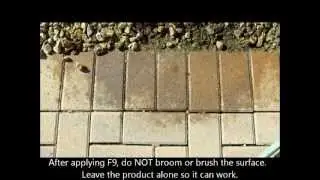 F9 BARC Rust Remover Training: How to Remove Rust Stains on Pavers