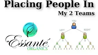 Placing people in your Essante Organics organization