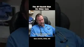 #1 Health Risk for Older Cats | Marc Smith, DVM, MS