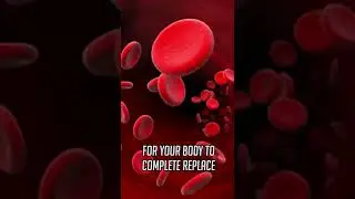 How long does it take to recover from giving blood? #shorts