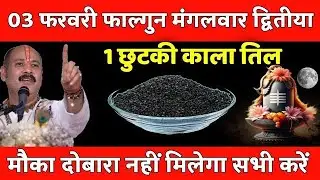 03 फरवरी फाल्गुन मंगलवार द्वितीया के दिन 1 छुटकी काला तिल वाला उपाय जरुर करे || Pradeep Ji Mishra 