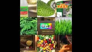 Addlife Herbals