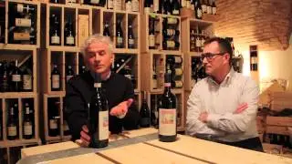 Bergamonews - 