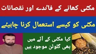 Makai khane ke fayde aor nuksan | Corn amazing health benefits in urdu | Makai ke fawaid 