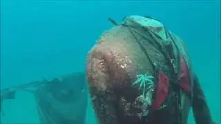 Marco Polo Diving