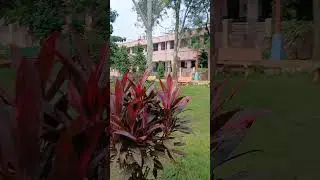District hospital ##S.B.D##Hospital ##sharanpur (u.p)##