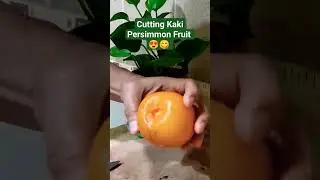 Cutting Kaki Persimmon Fruit 😍😋 #shorts #shortsfruits #shortsasmr #persimmon #cuttingasmr #fruit