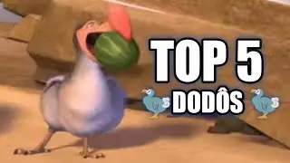 🦤TOP 5 DODÔS🦤 (de 