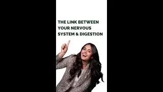 Is there a link between your nervous system and digestion?