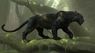 Black Panther in the Moonlight | Jungle Adventure Song for Kids | Animal Songs