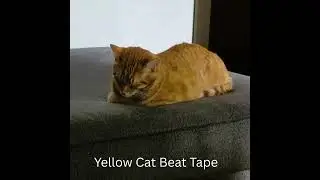 Yocom Beats - Yellow Cat Beat Tape [Full Beat Tape] Chill hip-hop and dance music
