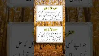 Hazrat Ali Quotes |  | Golden Words | Islamic Whatsapp Status | Islamic Status | Qtuber Urdu Hindi