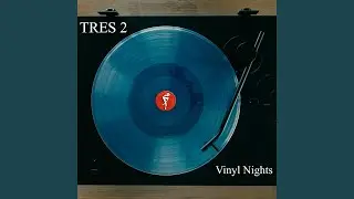 Vinyl Nights