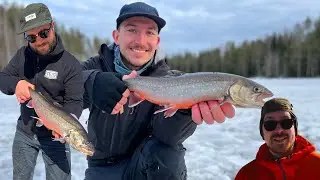 &Aring;rets sista Pimpling