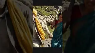 bhediya aaya #viral #ytshorts #nextpart #comment  part 1 #bhediya #story