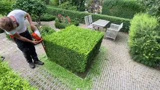 Stihl HSA 86 satisfying trim 🧡🔋💪🏼
