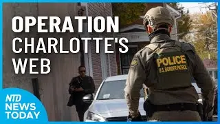 DHS 'Operation Charlotte's Web' Continues in North Carolina | NTD News Today (Nov. 16)