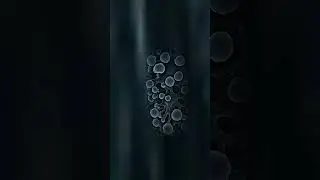 Zooming into Bullet ant #macro #microscope #zoom #macrozoom #infinity #beauty