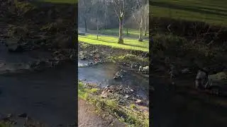 Just another walk🚶🚶🚶&zwj;♀️