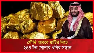 সৌদি আরবে মাটির নিচে ২৪৪ টন সোনার খনির সন্ধান | RCTV NEWS