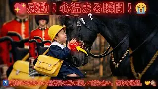 海外の反応】「その日本人に触れるな！」暴漢に絡まれた日本人女性。次の瞬間、近衛兵が馬で割って入る“神業”を見せた！世界が絶賛した英雄的行動とは？