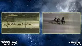 Flamboro Downs, January 1st 2026, Race 5 Inquiry