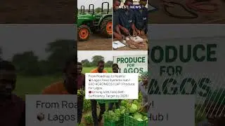 World Food Day: Lagos Intensifies Drive For Resilient, Sustainable Food System