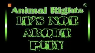 Inmendham vs Jordan Peterson: It's Not About Pity (Animal Rights & Wrongs)