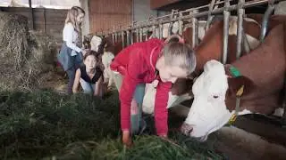 #WiewirLeben am Pleschinhof in Kärnten - Mittendrin statt nur dabei