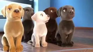 The Little Dog with a Big Dream ,  Animated Short Film 🐶....