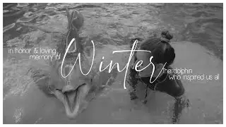 in loving memory of winter