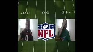 A Bengals and Dolphins fan reaction to Week 16