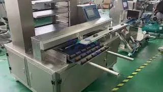 Fig bar making machine for Greece customer 1