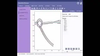 Scenario Animation