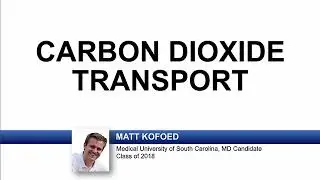 USMLE-Rx Express Video of the Week: Carbon Dioxide Transport