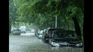 The 10 Deadliest Natural Disasters in 2024 (U.S)