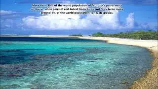 VP6A Ducie Island. From dxnews.com